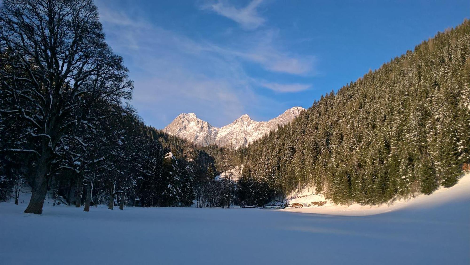 Alpenrose Boutique Gretl Ferienhaus