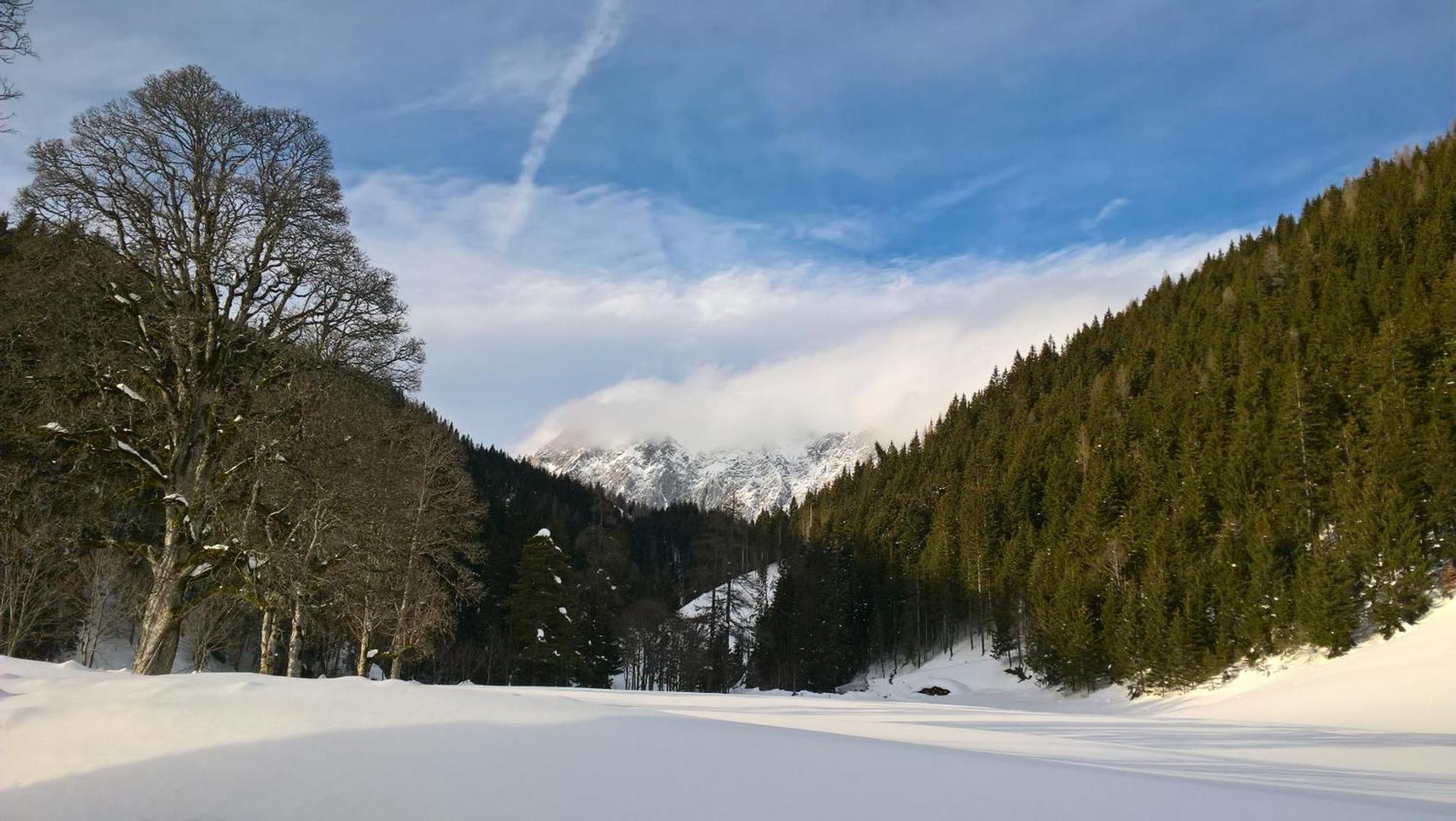 Alpenrose Boutique Gretl Ferienhaus *